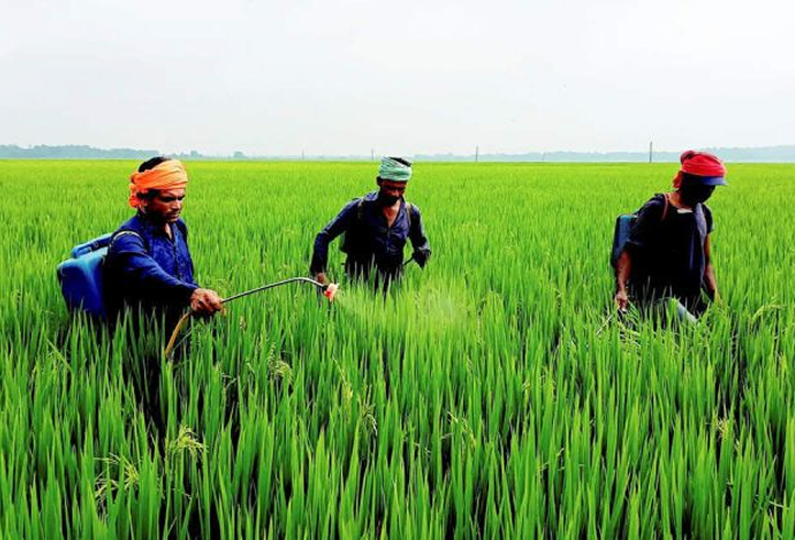 Agriculture and Agro Industry